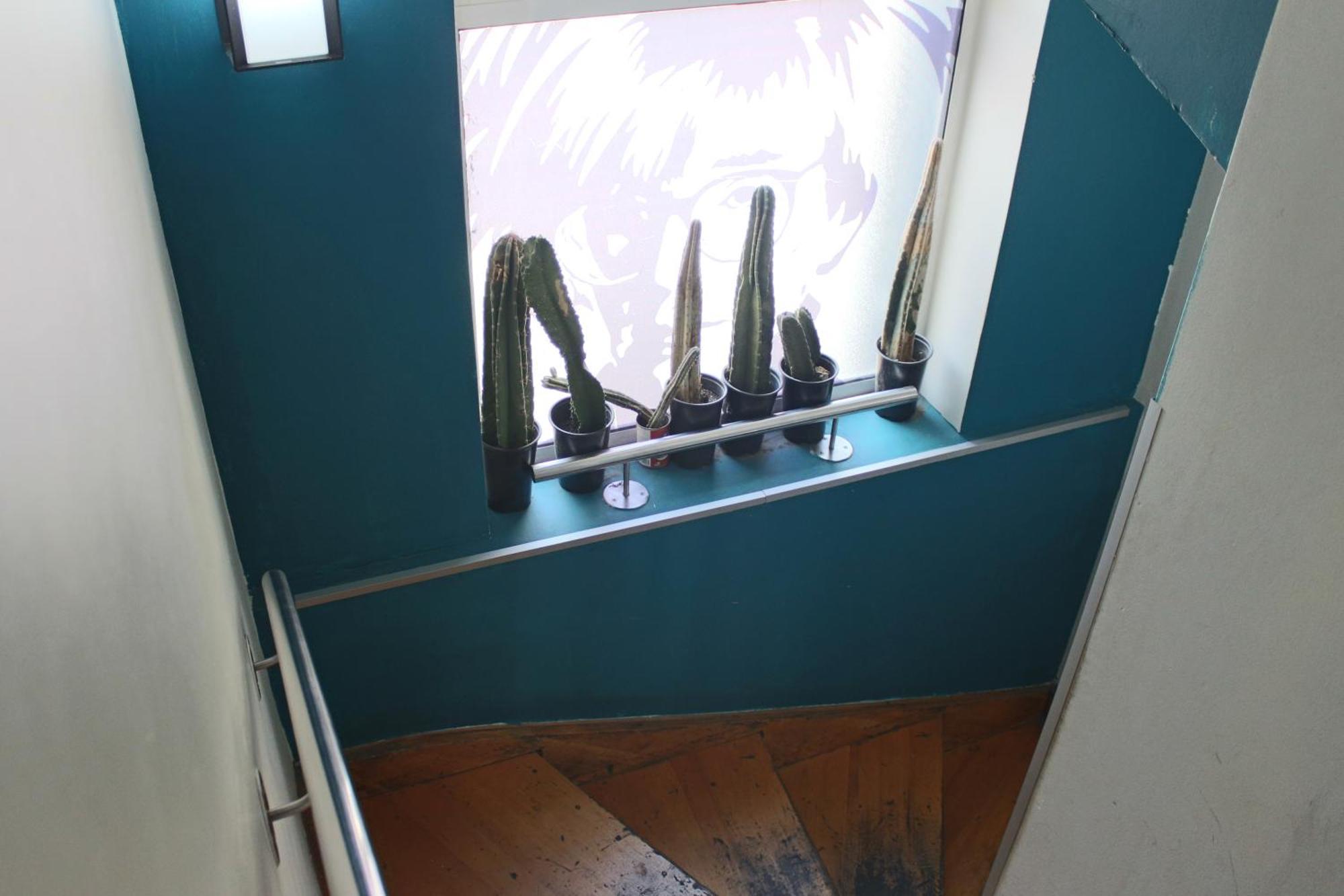 Guanako Hostel *
